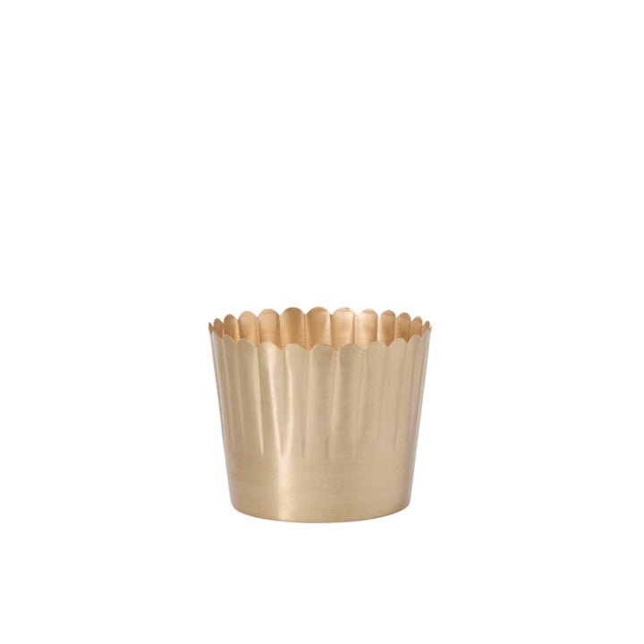 Accent Decor Pots & Planters Medium - 7.5"x 6" Delicata Pot