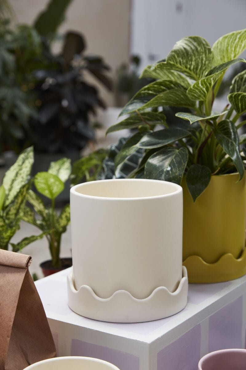 Accent Decor Pots & Planters Off-White Pissaro Pot with Saucer 7.5"x 7.25"