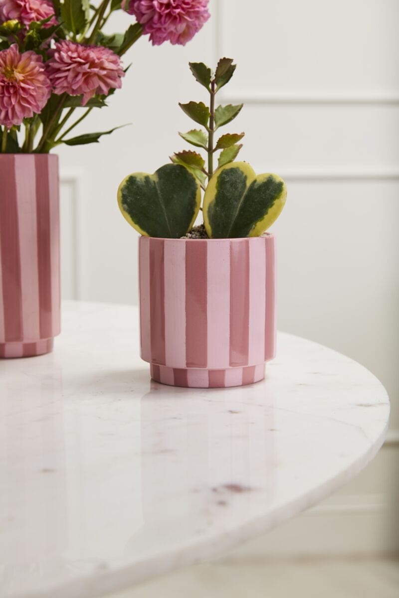 Accent Decor Pots & Planters Pink Striped Pot 5"x 5.25"