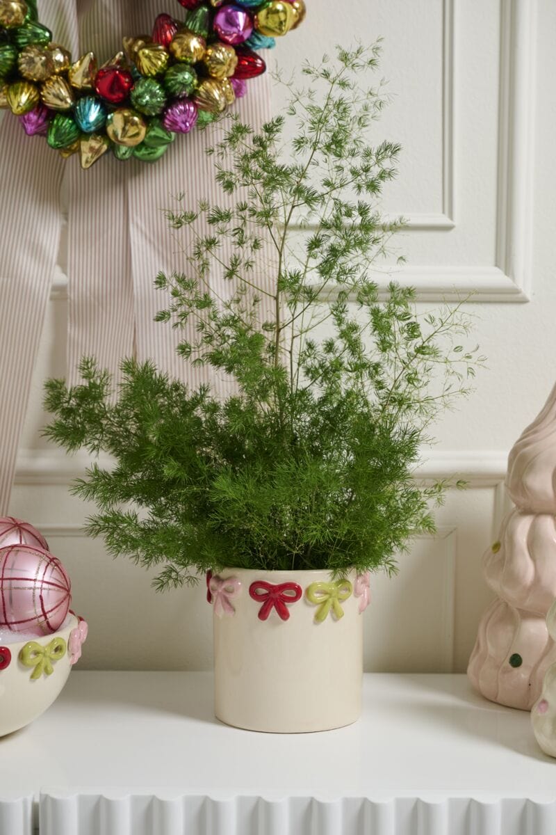 Accent Decor Pots & Planters Ribbonelle Pot