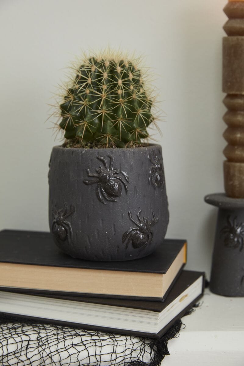 Accent Decor Pots & Planters Scuttling Spiders Pot