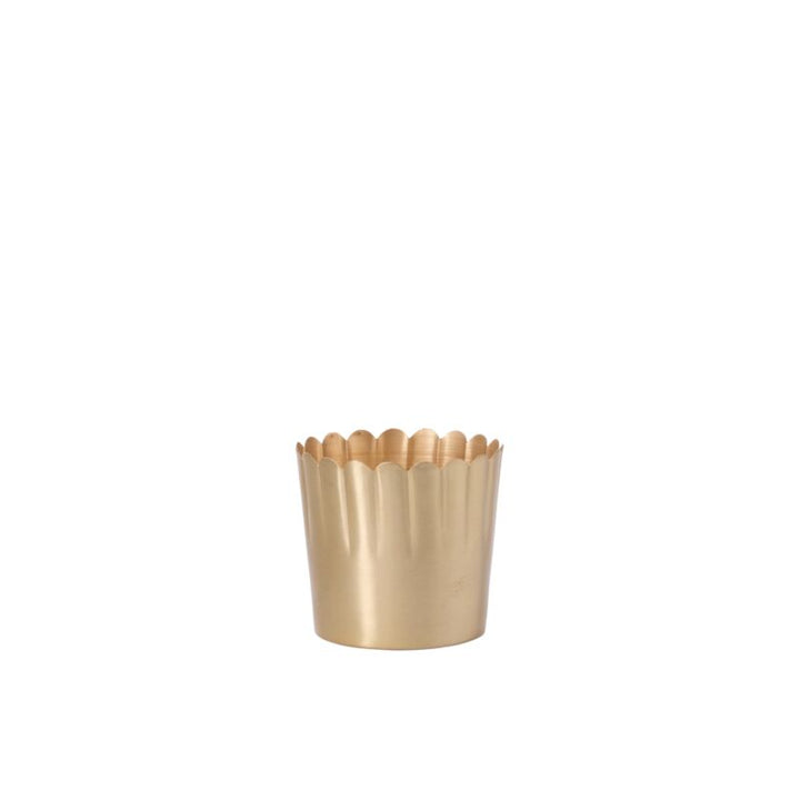 Accent Decor Pots & Planters Small -  5.5"x 5" Delicata Pot