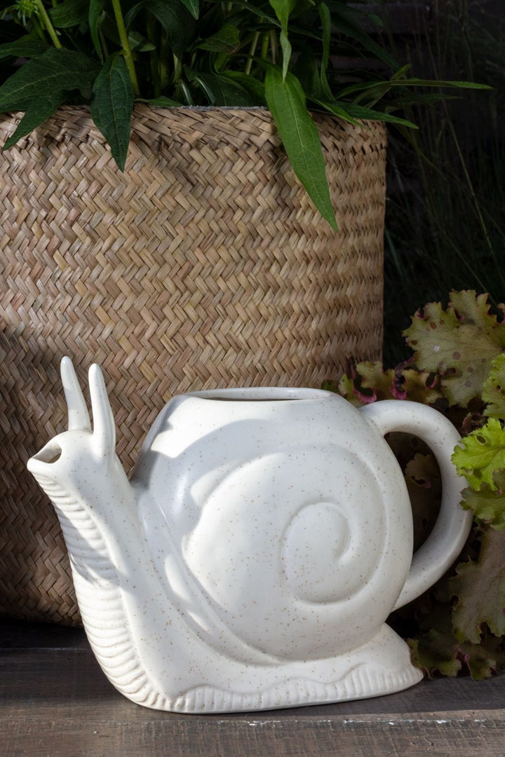 Accent Decor Slowpoke Water Can