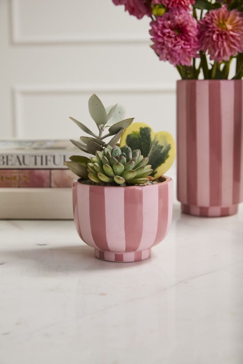 Accent Decor Vases Pink Striped Compote 4.5"x 3.5"