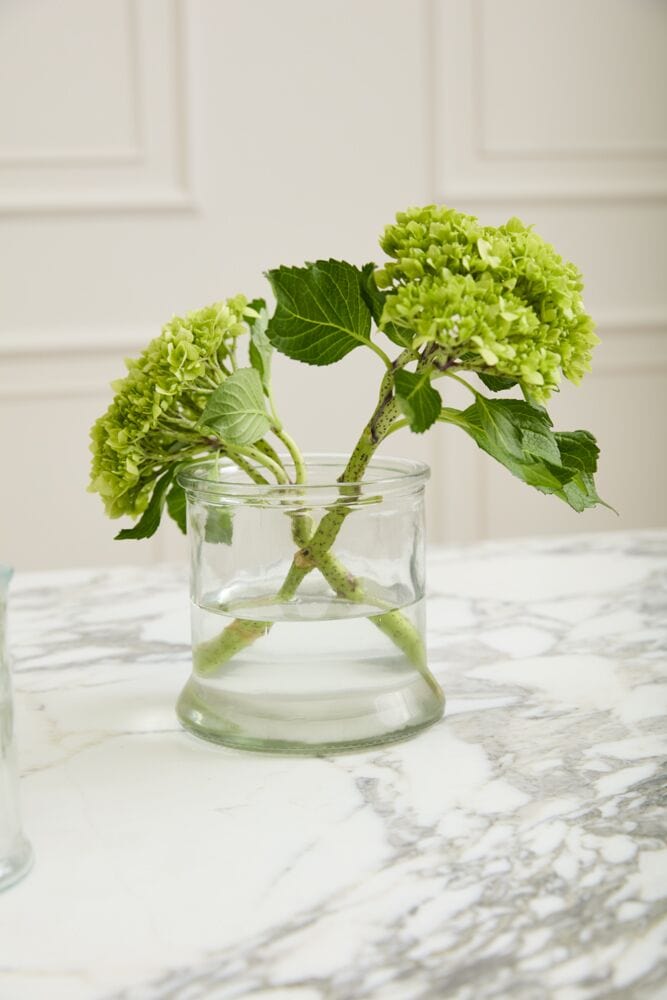 Accent Decor Vases Veza Vase