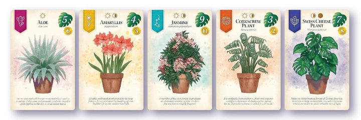 ACD Games Gifts Verdant Board Game | FlatOut Games