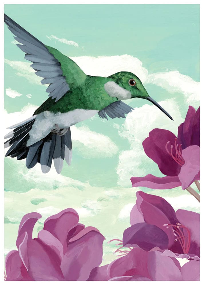 Allport Card Humming Bird Birthday Card