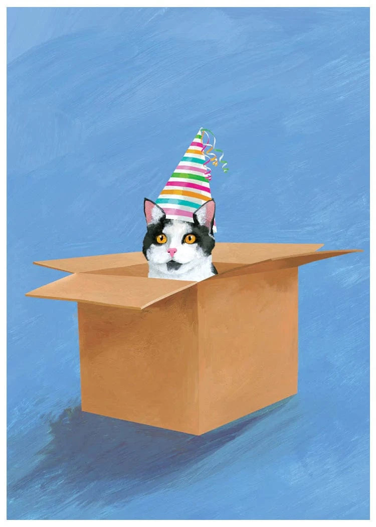 Allport Cards Cat in a Box Card