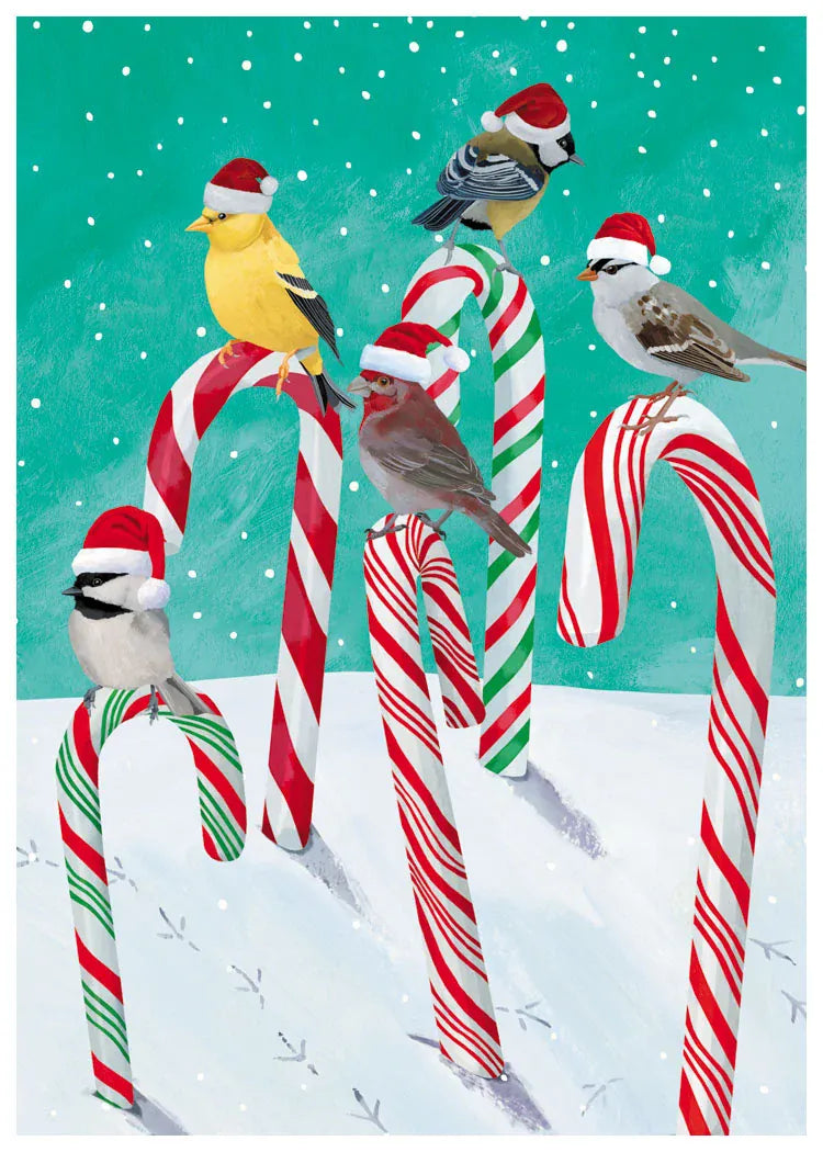 Allport Holiday Candy Cane Birds Boxed Holiday Cards
