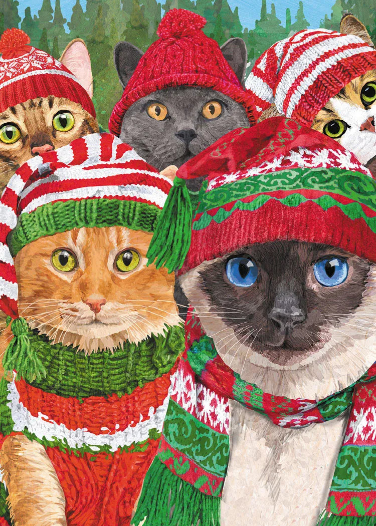 Allport Holiday Cozy Kitties Holiday Cards