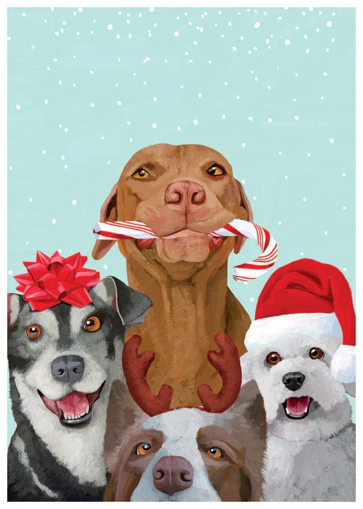 Allport Holiday Dog Pals Single Holiday Card