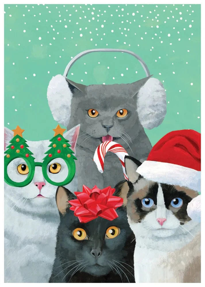 Allport Holiday Meowy Catmas Pals Single Holiday Card