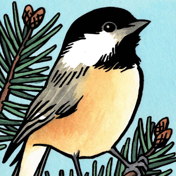 Anagram Press Card Black-Capped Chickadee Card