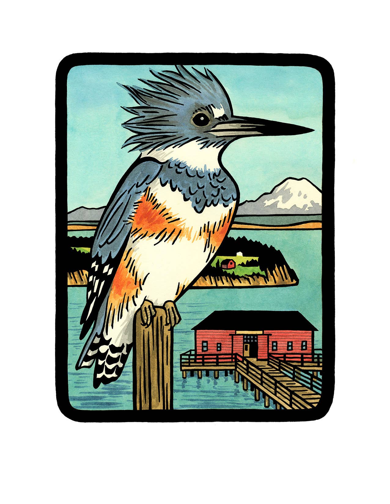 Anagram Press Cards Individual Belted Kingfisher Card