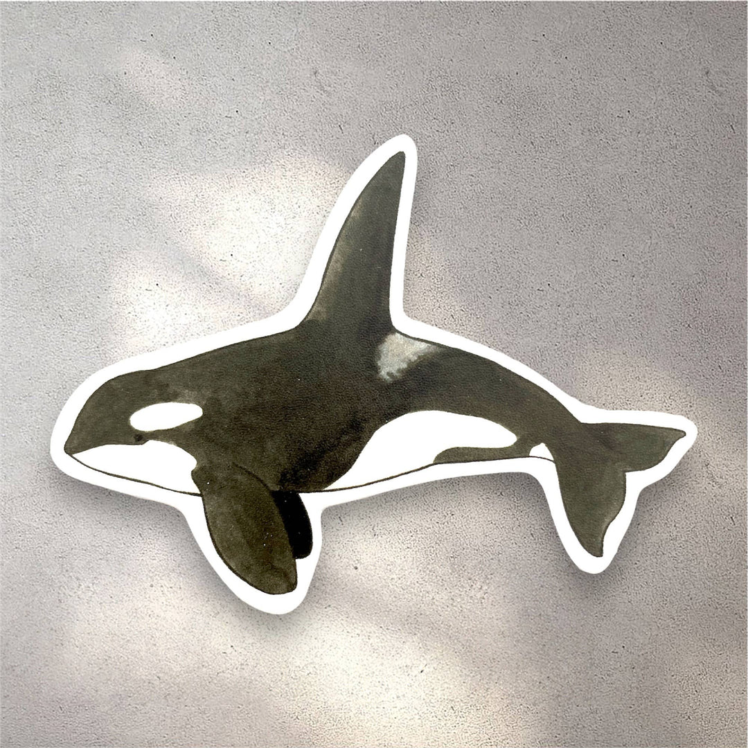 Anagram Press Cards Orca Sticker