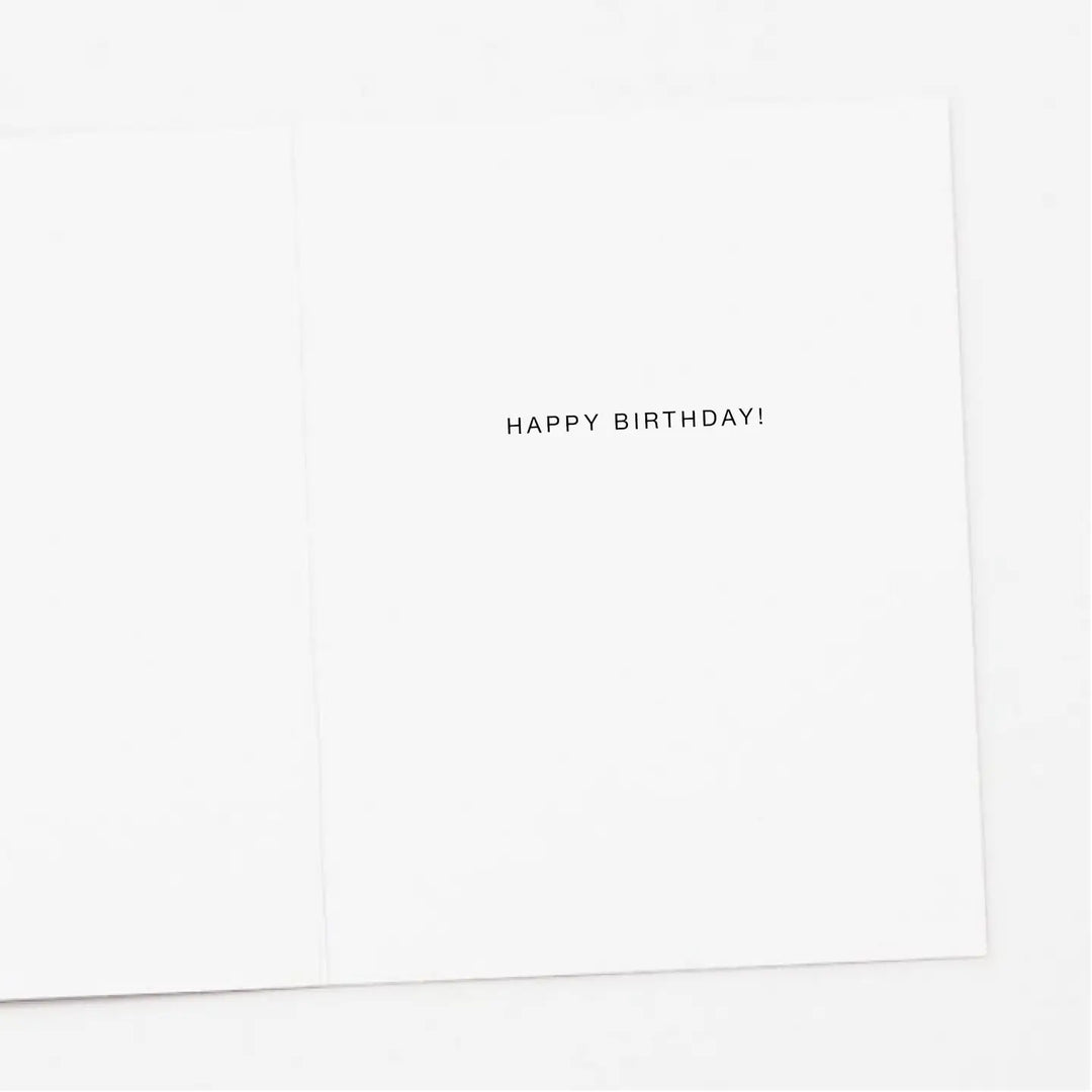 Apartment 2 Cards Cards Cat Floating with Balloons Birthday Card