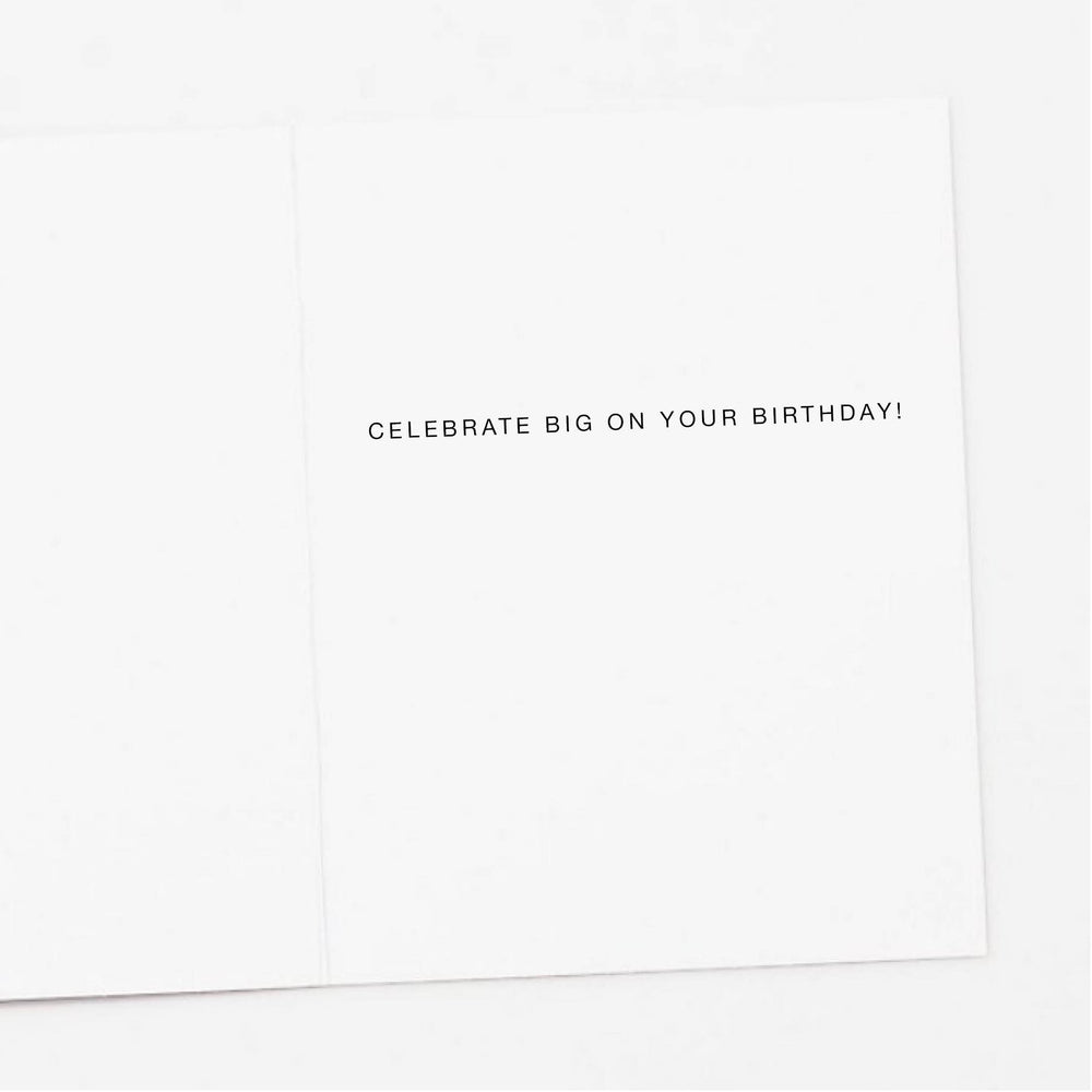 Apartment 2 Cards Cards Disco Raccoon Birthday Card