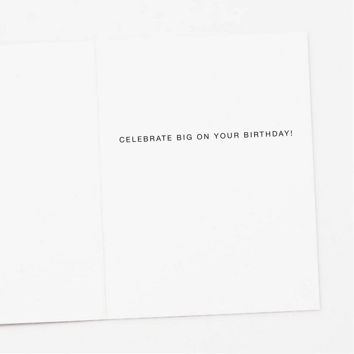 Apartment 2 Cards Cards Disco Raccoon Birthday Card
