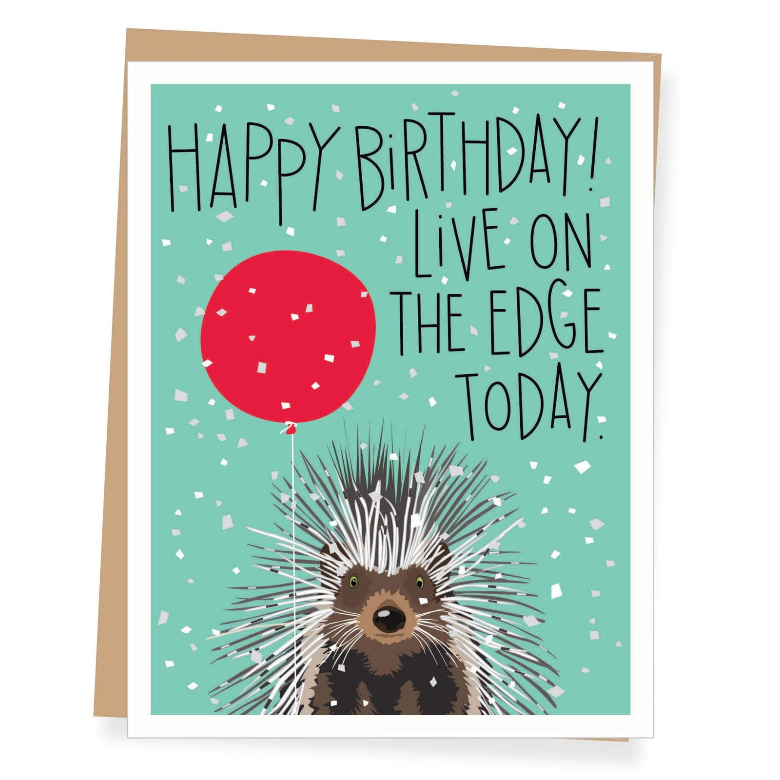 Apartment 2 Cards Cards Porcupine Live on the Edge Birthday Card