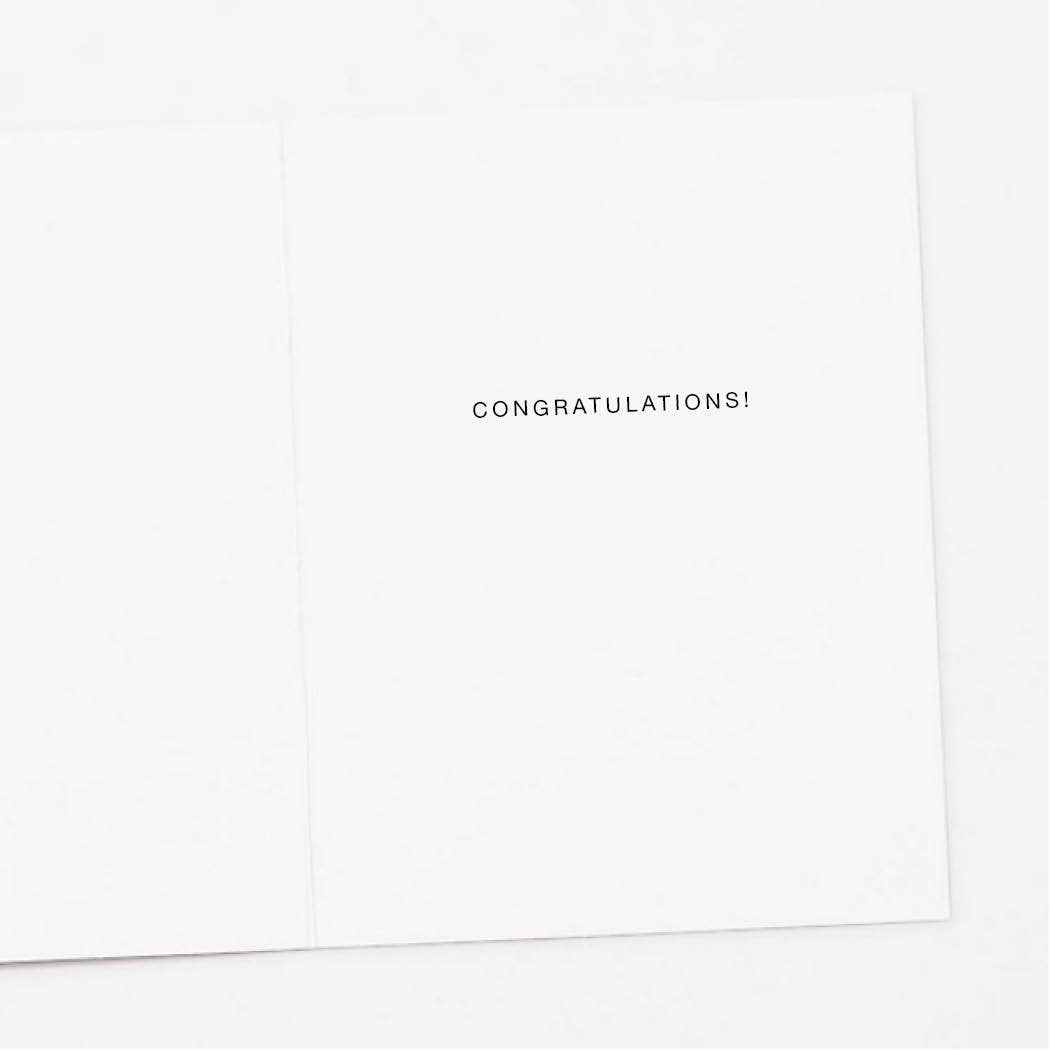 Apartment 2 Cards Cards Raccoon with Sparklers, New Job Congratulations Card