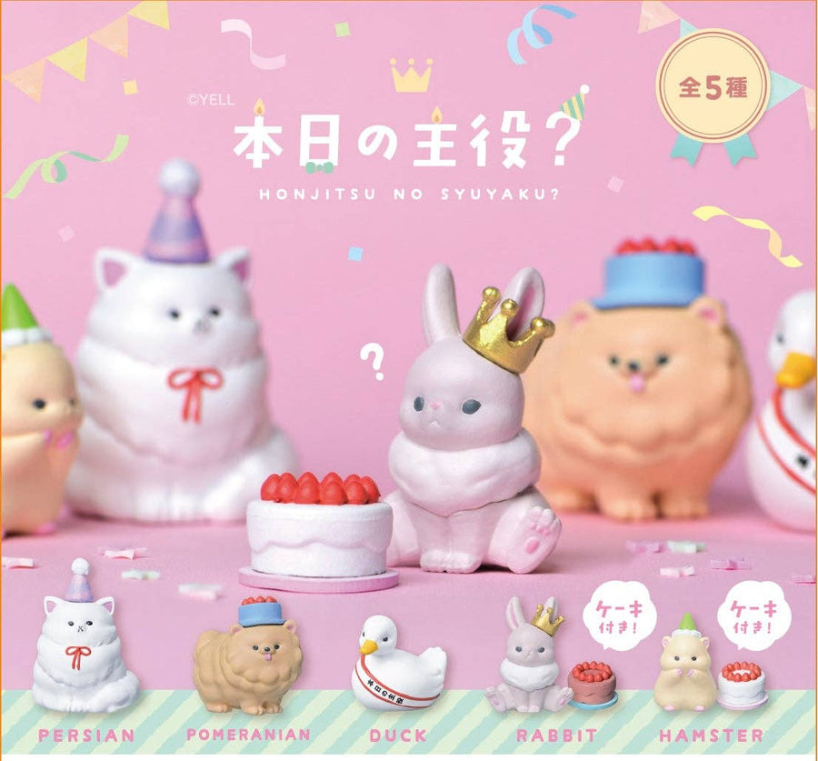 BC USA Gifts Birthday Blind Box