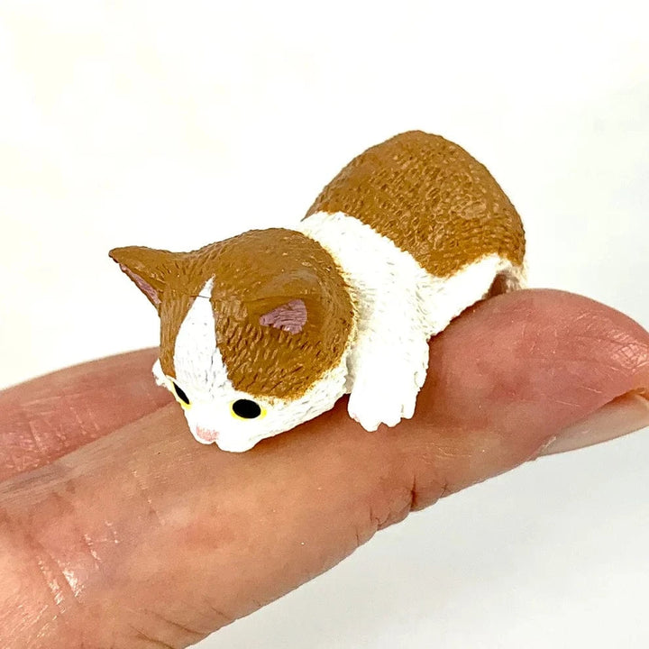BC USA Gifts Zen Animals Blind Box