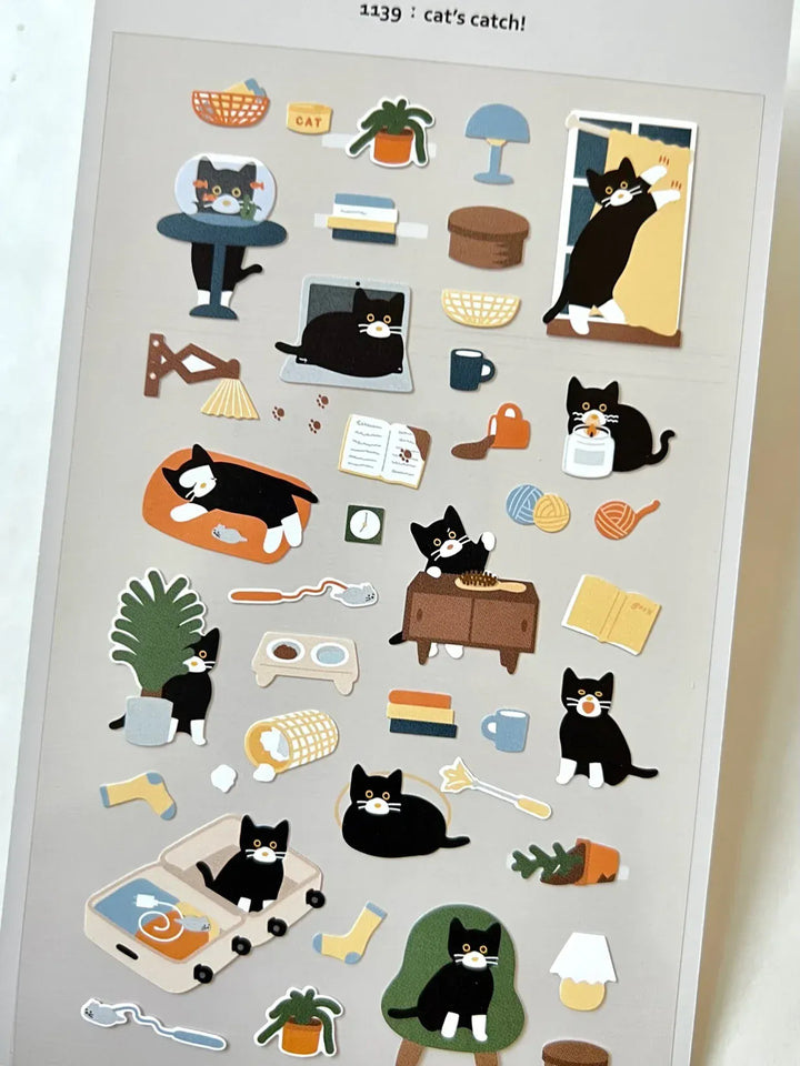 BC USA Stickers Cat's Catch Stickers