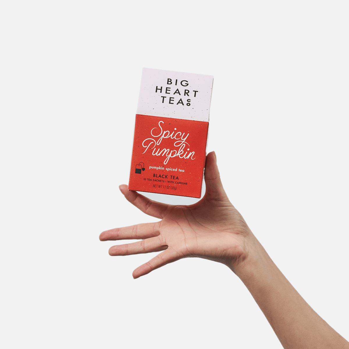 Big Heart Tea Co. Gifts Spicy Pumpkin 10 ct Tea Bags