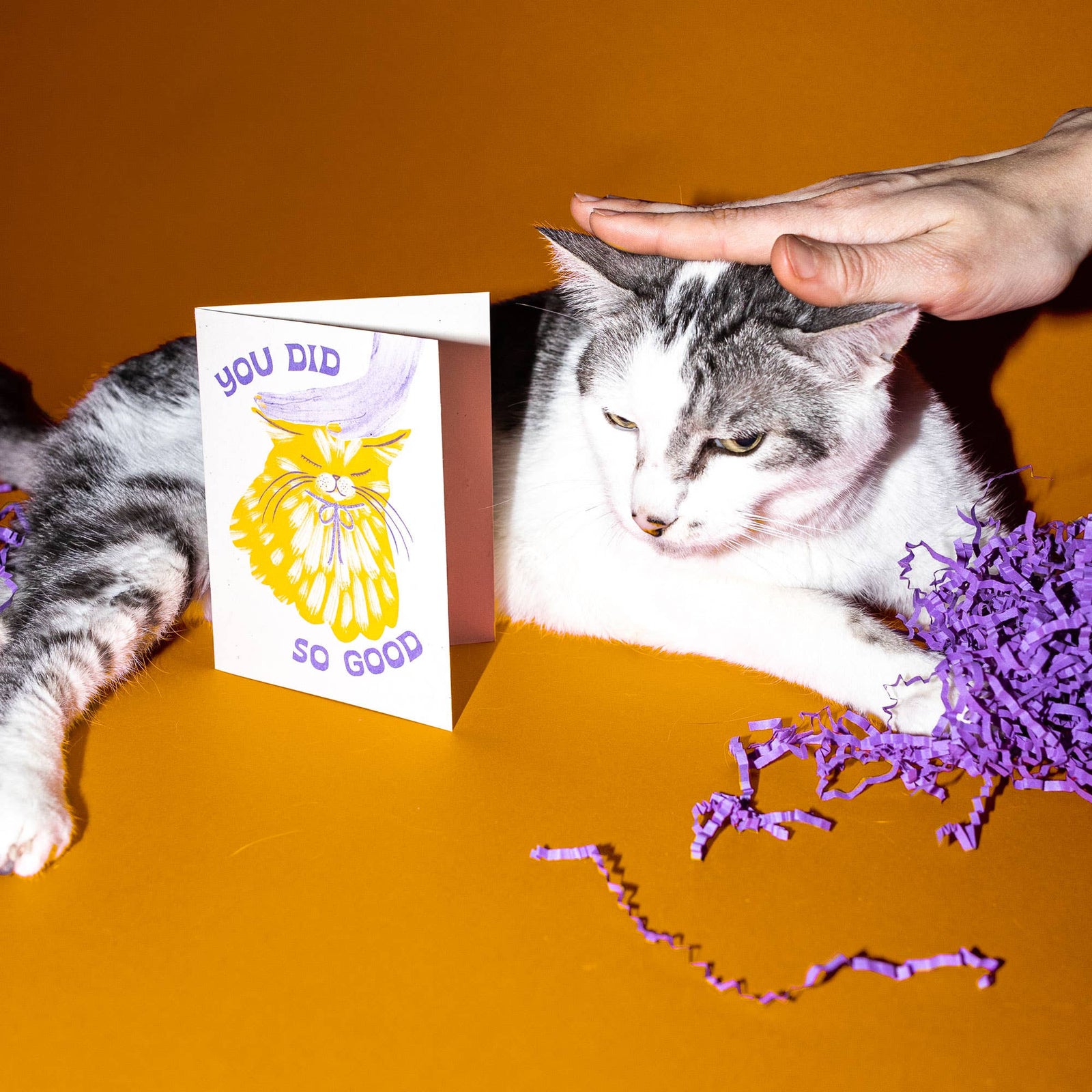 Bromstad Printing Co. Cards You Did So Good Cat - Risograph Card