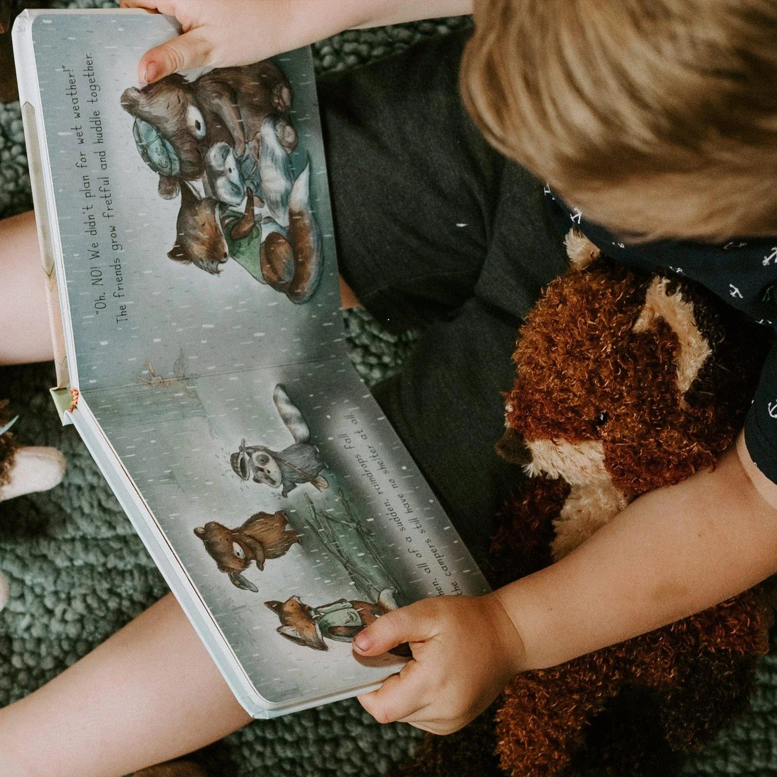 Bunnies By The Bay Book Camp Cricket Board Book