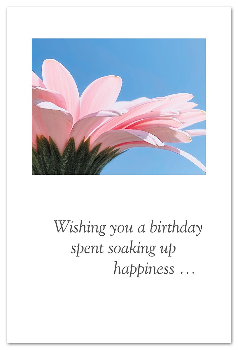 Cardthartic birthday card Pink Daisy Birthday Card