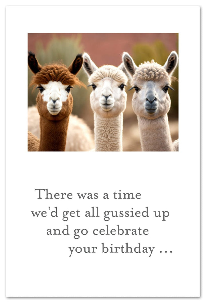 Cardthartic Card Alpaca Pals Birthday Card