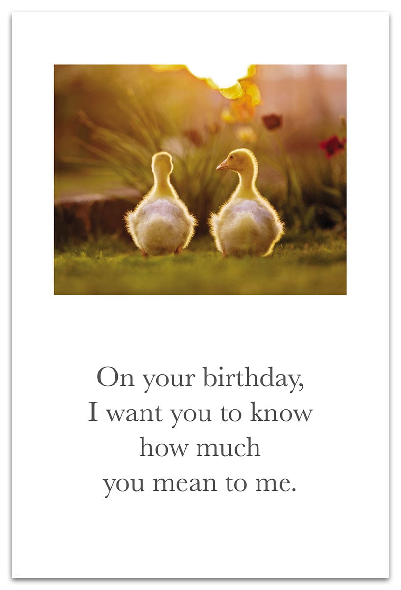 Cardthartic Card Gosling Friends Birthday Card