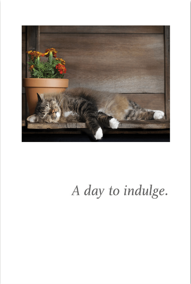 Cardthartic Card Happy Cat Napping Birthday Card