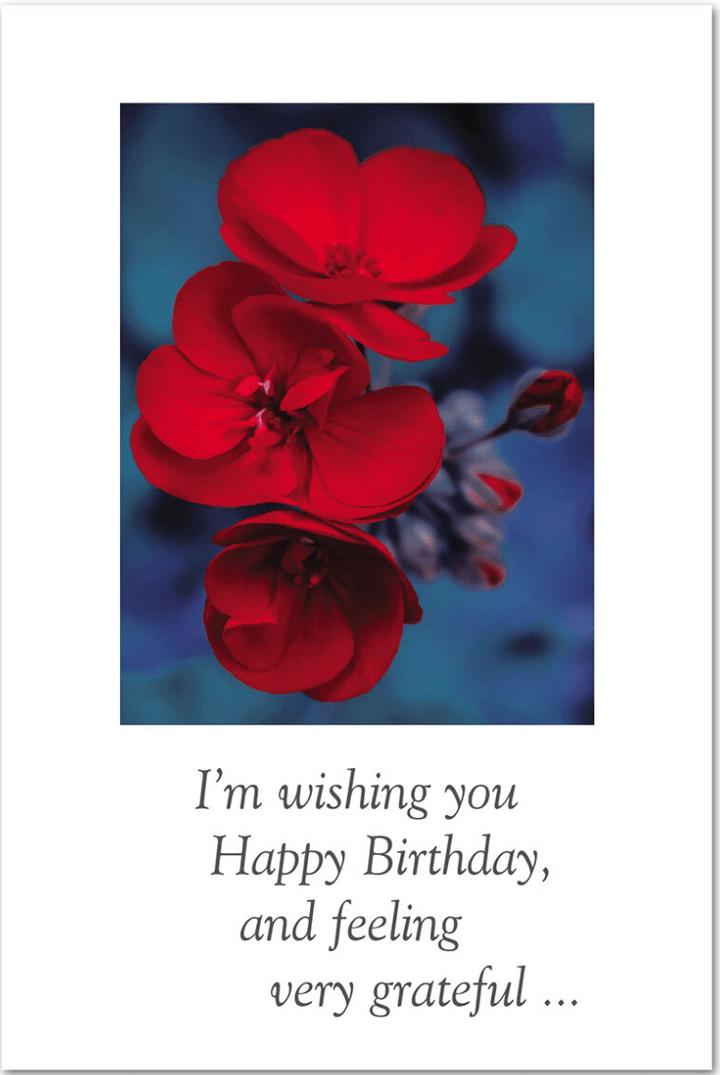 Cardthartic Card Red Geraniums Birthday Card