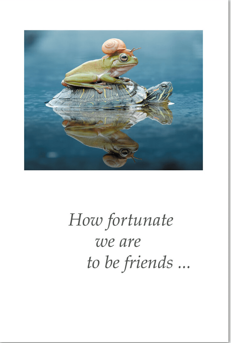 Cardthartic Card Snail Frog Turtle Stack Friendship Card