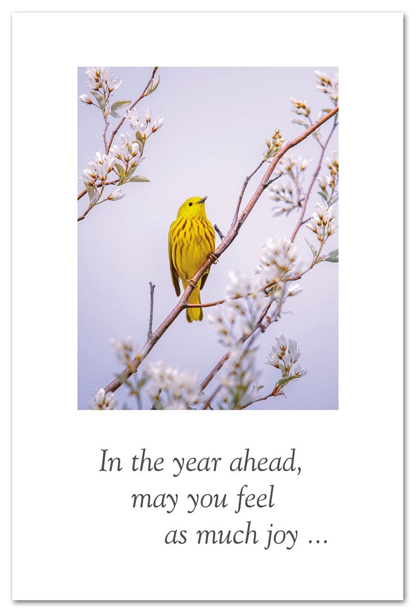Cardthartic Card Yellow Warbler Birthday Card
