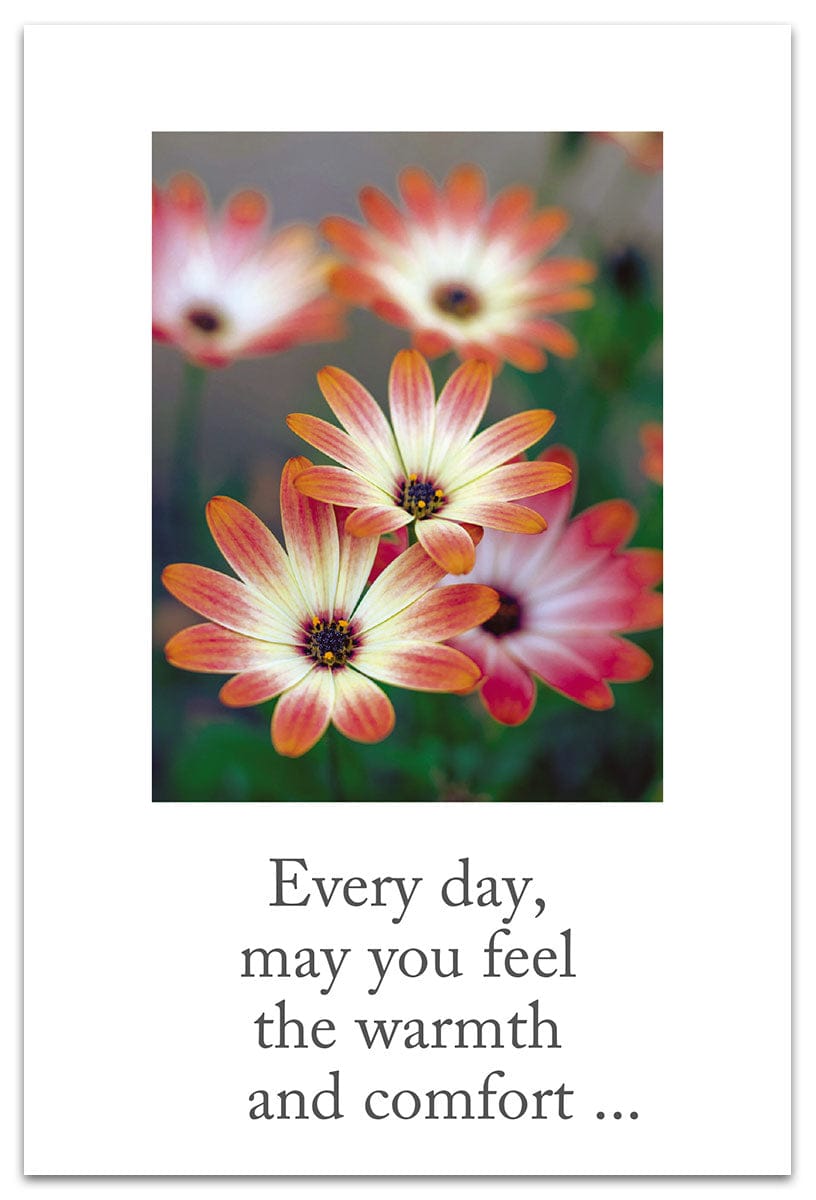 Cardthartic Cards African Daisies Card