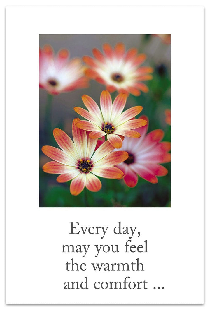 Cardthartic Cards African Daisies Card