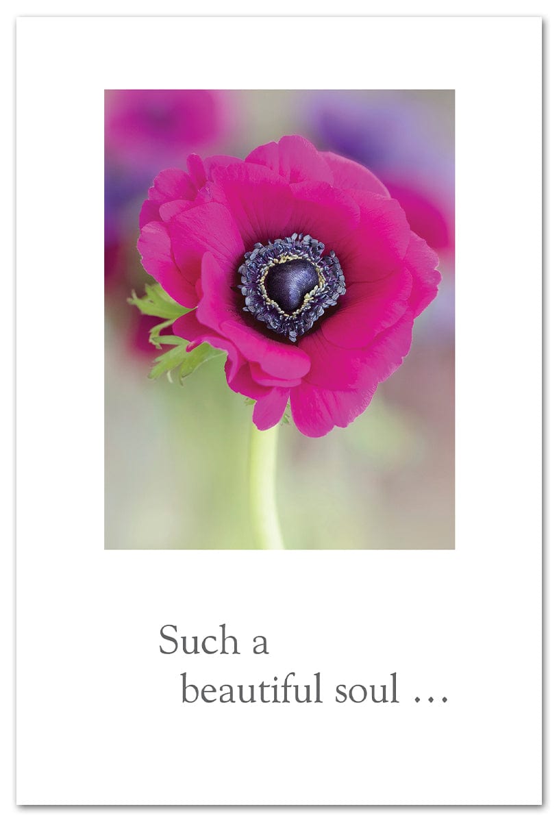 Cardthartic Cards Anemone Rosea Card