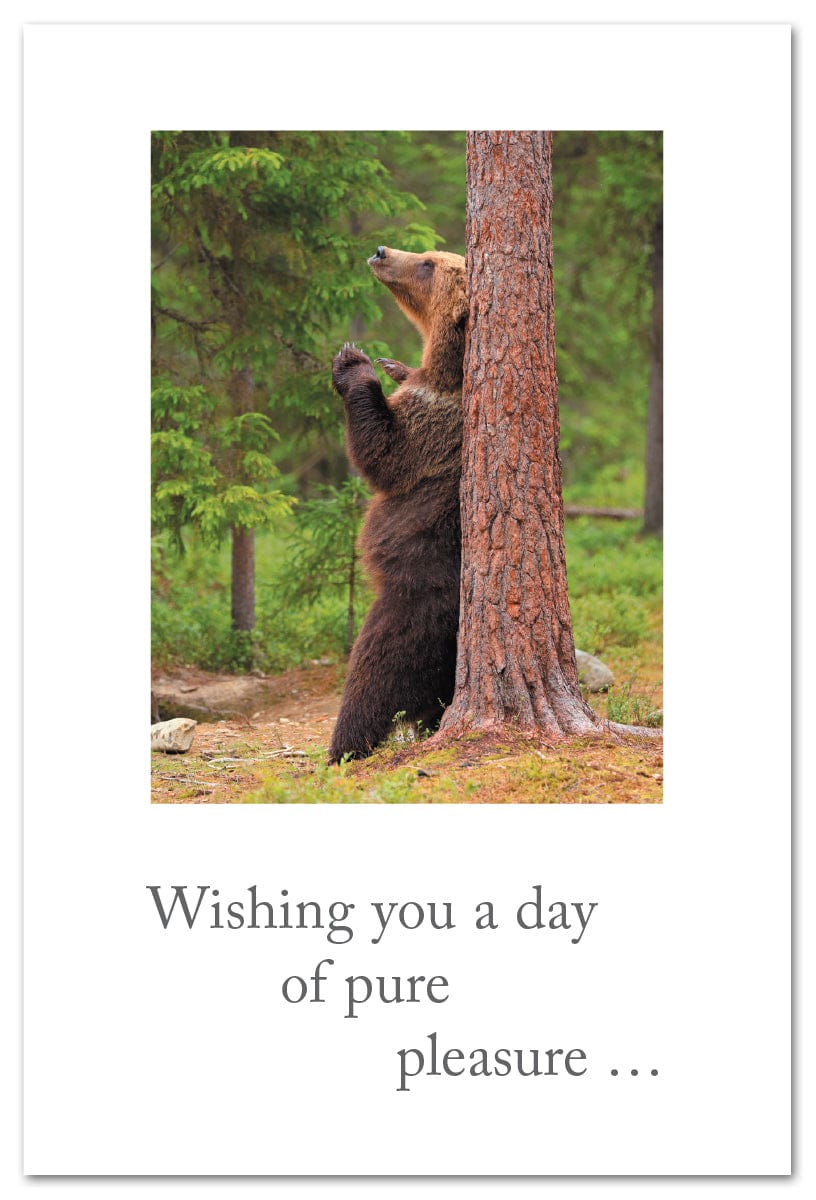 Cardthartic Cards Bear Scratching Back Birthday Card