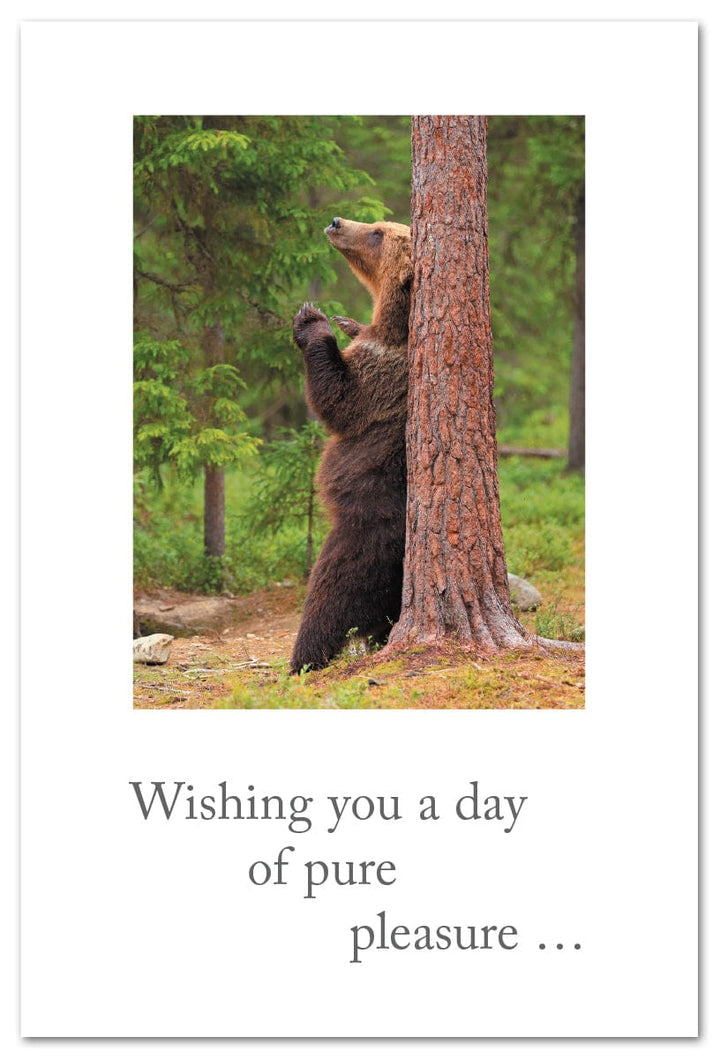 Cardthartic Cards Bear Scratching Back Birthday Card