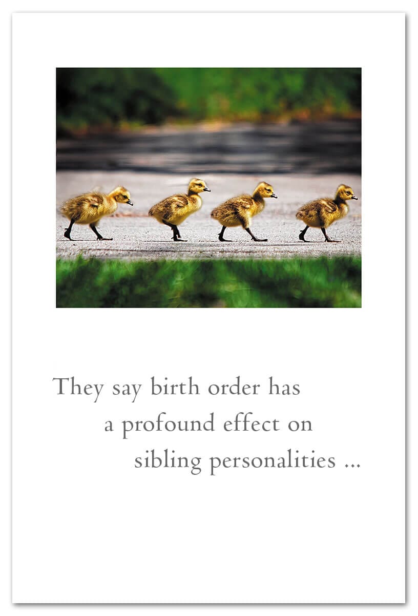 Cardthartic Cards Duckling Convoy Family Card