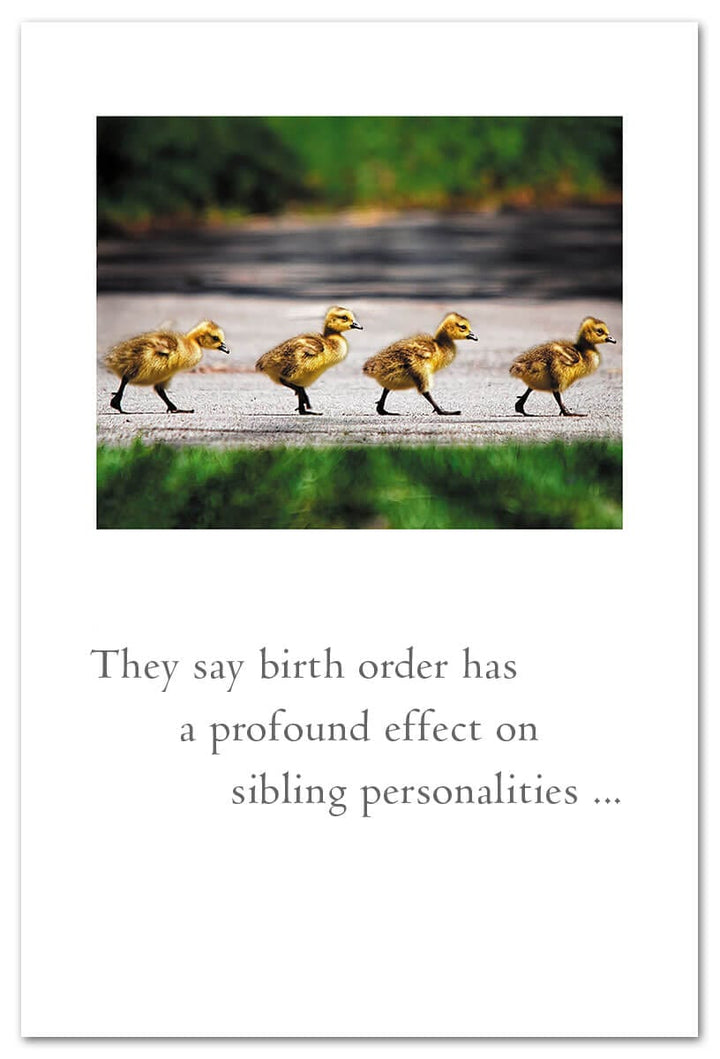 Cardthartic Cards Duckling Convoy Family Card
