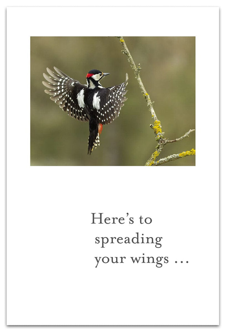 Cardthartic Cards Great Spotted Woodpecker Retirement Card