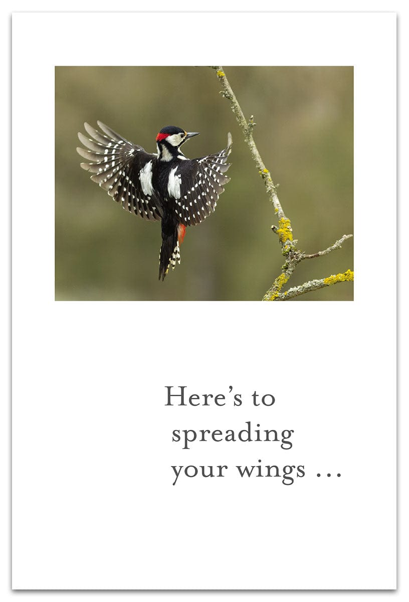 Cardthartic Cards Great Spotted Woodpecker Retirement Card