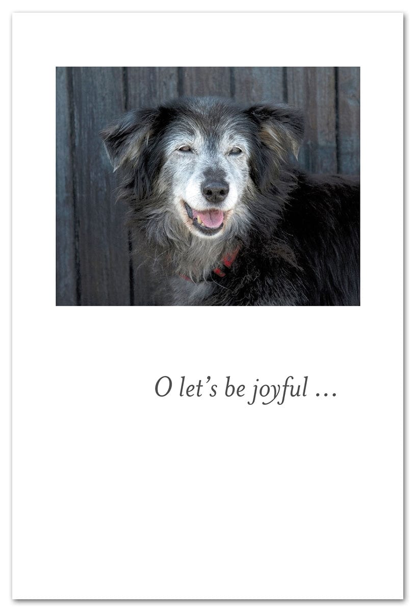 Cardthartic Cards Happy Old Dog Birthday Card