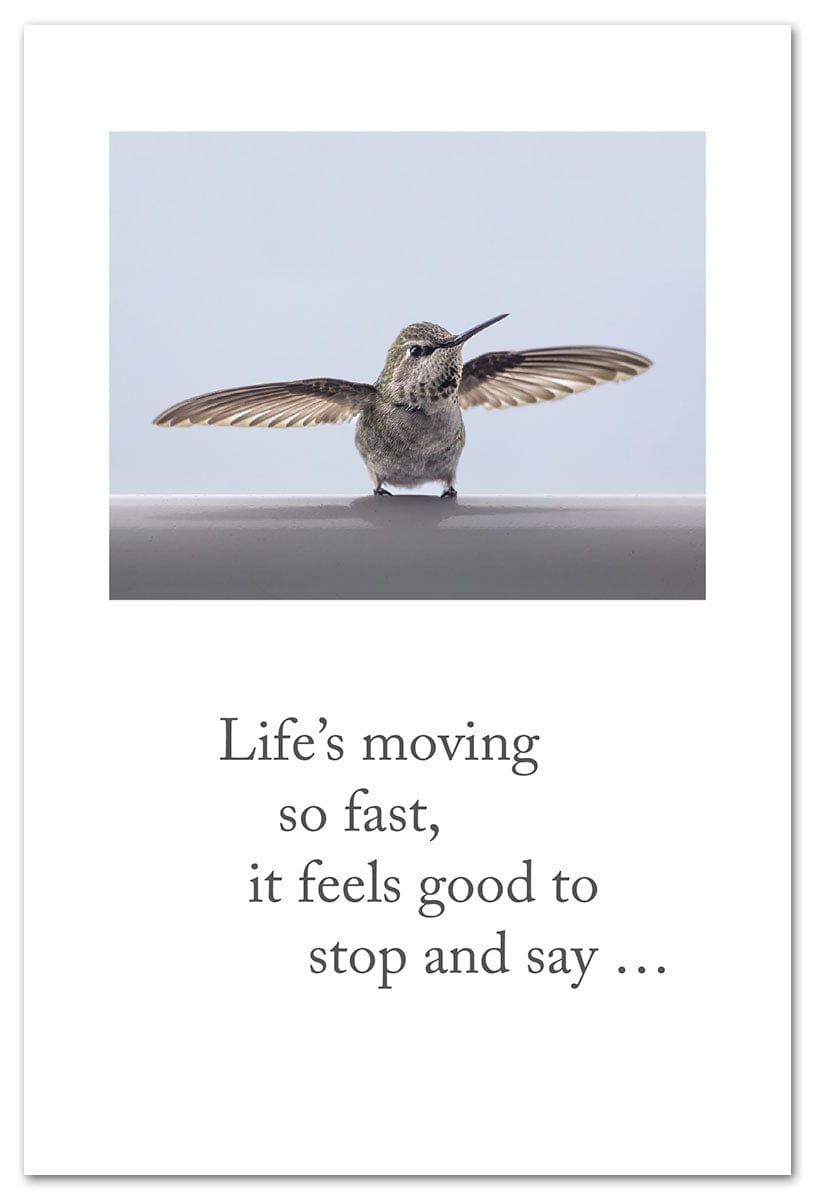 Cardthartic Cards Hummingbird at Rest Card