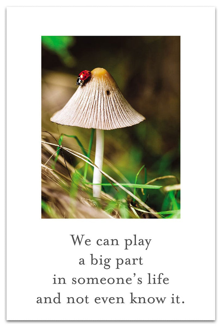Cardthartic Cards Lady Bug Mushroom Thank You Card