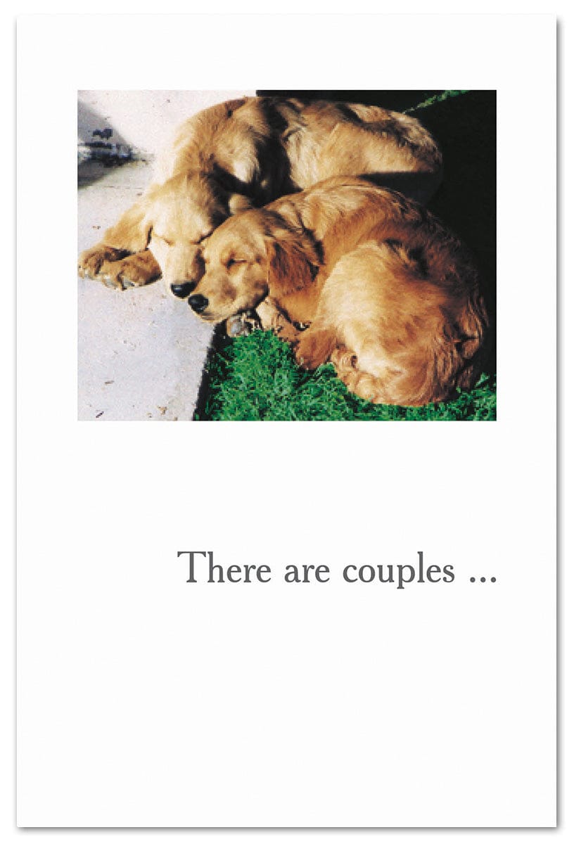 Cardthartic Cards Napping Goldens Anniversary Card